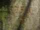 Thumbs/tn_DSC06484.jpg