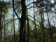 Thumbs/tn_DSC06487.jpg