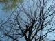 Thumbs/tn_DSC06502.jpg