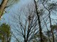 Thumbs/tn_DSC06519.jpg