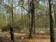 Thumbs/tn_DSC06549.jpg