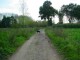 Thumbs/tn_DSC03475.jpg