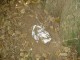 Thumbs/tn_DSC03478.jpg