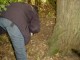 Thumbs/tn_DSC03480.jpg