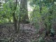 Thumbs/tn_DSC03486.jpg
