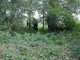 Thumbs/tn_DSC03487.jpg