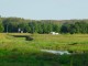 Thumbs/tn_DSC03493.jpg