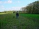 Thumbs/tn_DSC03494.jpg