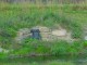 Thumbs/tn_DSC03499.jpg