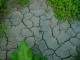 Thumbs/tn_DSC03500.jpg