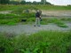 Thumbs/tn_DSC03501.jpg