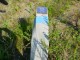 Thumbs/tn_DSC03504.jpg