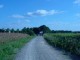 Thumbs/tn_DSC03514.jpg