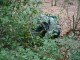 Thumbs/tn_DSC05045.jpg