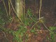 Thumbs/tn_DSC05076.jpg