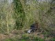 Thumbs/tn_DSC06187.jpg