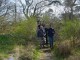 Thumbs/tn_DSC06188.jpg