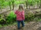 Thumbs/tn_DSC08702.jpg