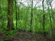 Thumbs/tn_DSC08717.jpg