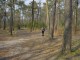 Thumbs/tn_DSC06130.jpg