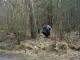 Thumbs/tn_DSC06132.jpg