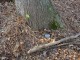 Thumbs/tn_DSC06134.jpg
