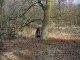 Thumbs/tn_DSC06136.jpg