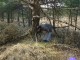 Thumbs/tn_DSC06143.jpg