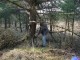 Thumbs/tn_DSC06144.jpg