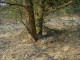 Thumbs/tn_DSC06149.jpg