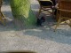 Thumbs/tn_DSC06153.jpg