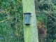 Thumbs/tn_DSC06154.jpg