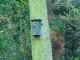 Thumbs/tn_DSC06155.jpg