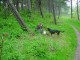 Thumbs/tn_DSC00888.jpg