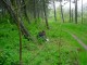 Thumbs/tn_DSC00889.jpg