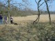 Thumbs/tn_DSC06198.jpg