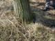 Thumbs/tn_DSC06200.jpg