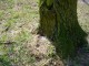 Thumbs/tn_DSC06203.jpg