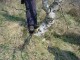 Thumbs/tn_DSC06214.jpg