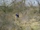 Thumbs/tn_DSC06215.jpg