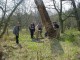 Thumbs/tn_DSC06218.jpg