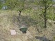 Thumbs/tn_DSC06225.jpg