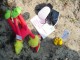 Thumbs/tn_DSC06227.jpg