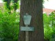 Thumbs/tn_DSC07715.jpg