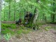 Thumbs/tn_DSC07721.jpg