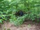 Thumbs/tn_DSC07724.jpg