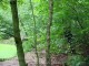 Thumbs/tn_DSC07725.jpg