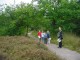 Thumbs/tn_DSC03531.jpg
