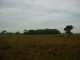 Thumbs/tn_DSC03534.jpg