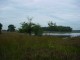 Thumbs/tn_DSC03536.jpg